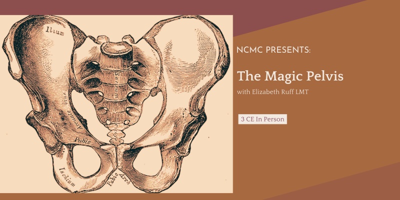 The Magical Pelvis