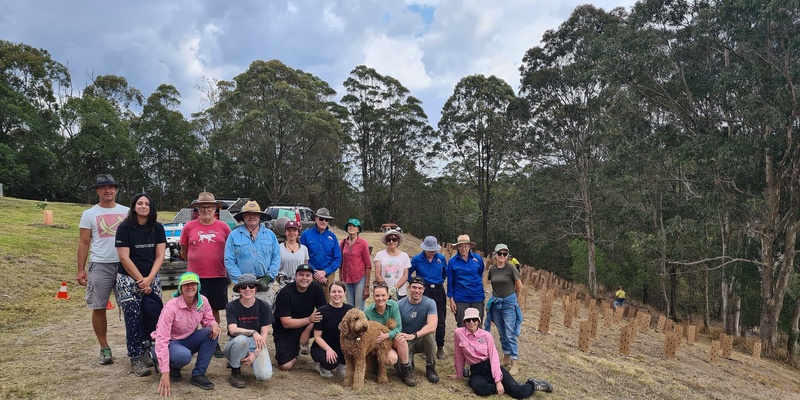 Koala Habitat Community Tree Planting Day - Montville