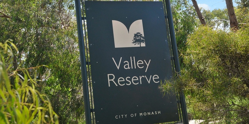 Valley Reserve Walk and Talk to Nature in Focus Exhibition