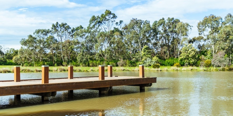 The Delightful Tirhatuan Park Dandenong Creek Walk: Grade 2 (Easy)