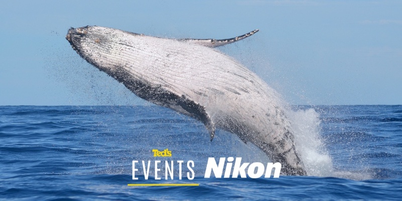 Whale Watching Cruise With Nikon Australia and Teds Cameras
