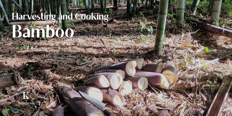 Bamboo Harvesting and Cooking with NZ Bamboo Society