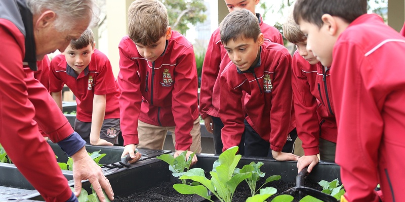 2024 Preparatory School Activities (Term 4)