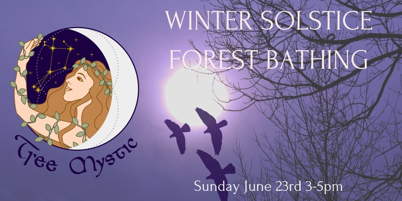 Winter Solstice Forest Bathing