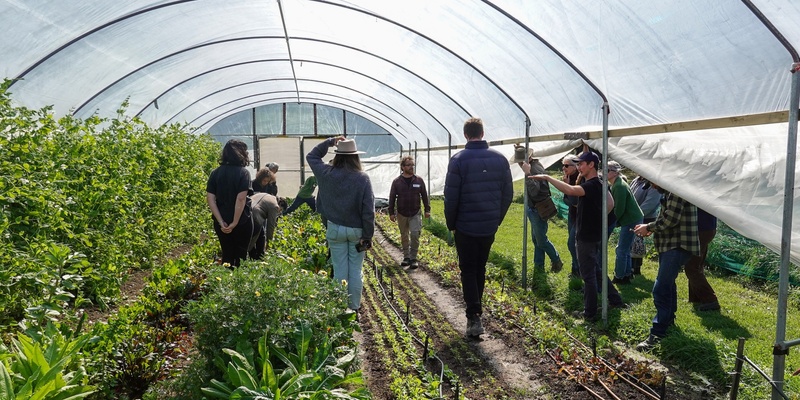 Market Garden Webinar: a deep dive into soil health & soil testing