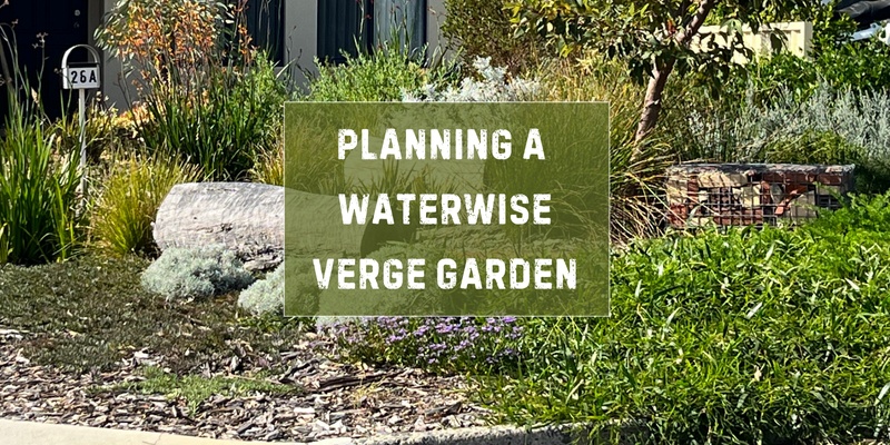 Planning a Waterwise Verge Garden  - for City of Bayswater & Town of Bassendean Residents