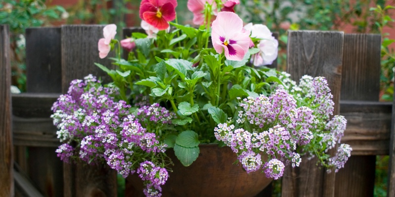 Make a Flower Planter Box Workshop