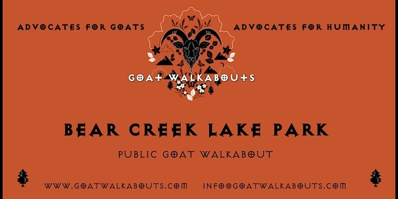 SUNSET GOAT WALKABOUT: (BEAR CREEK LAKE PARK)