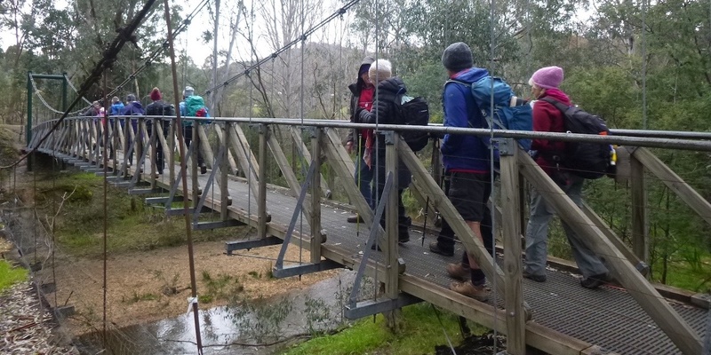 Views and Waterfalls on Kangaroo Hill, Eldorado - Grade 4 (Medium/Hard)