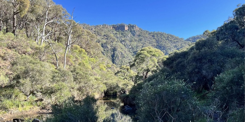 Lerderderg Heritage River and Whipstick Loop Walk - Grade 3 (Medium)