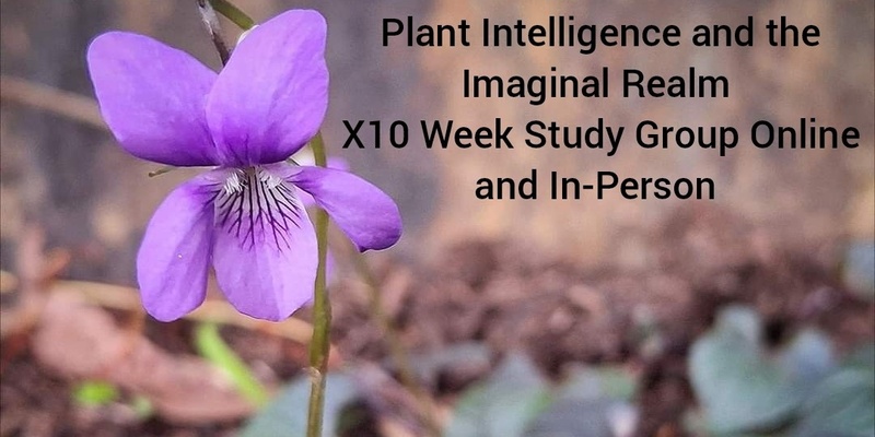 Plant Intelligence and the Imaginal Realm, x10 Week Online and In-Person Study Group 