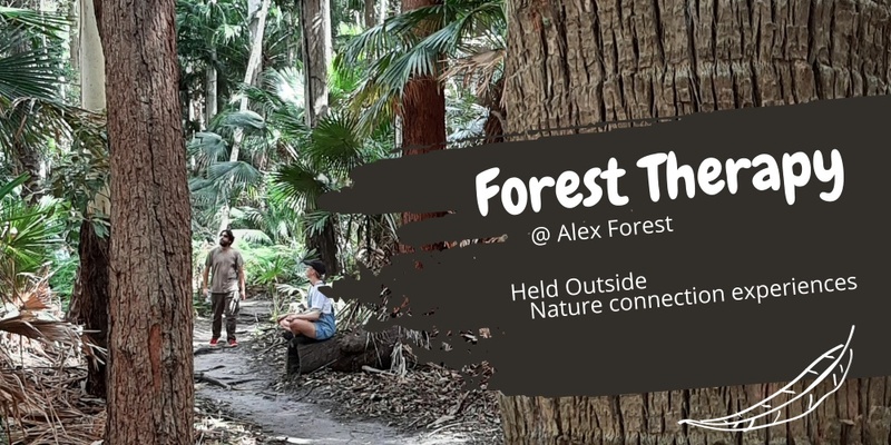 Forest Therapy at Alex Forest 1 Oct 23