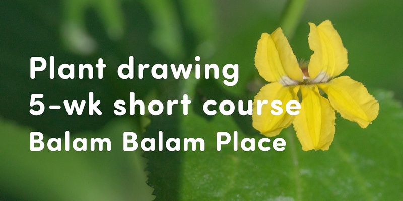 5-wk Plant drawing short course 🌿 Balam Balam Place