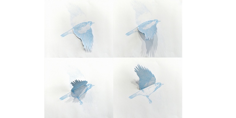 Feathers & Wings, Patterns & Colours: Bird Drawing Workshop For Kids