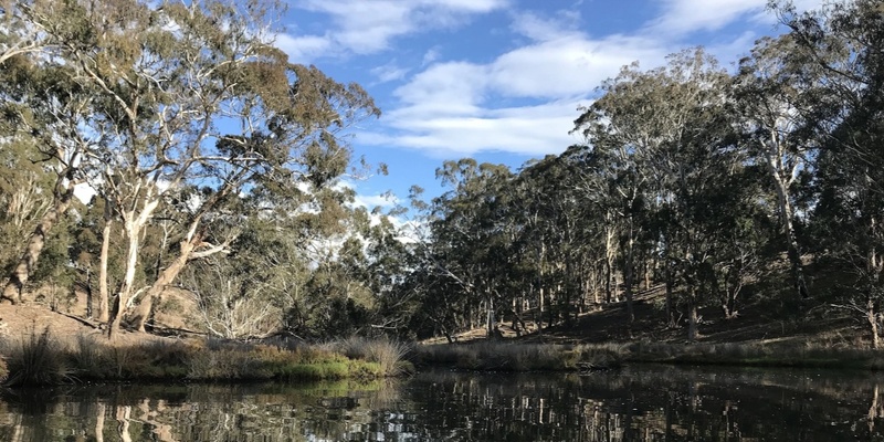 Gippsland Forest Dialogue members winter catch-up