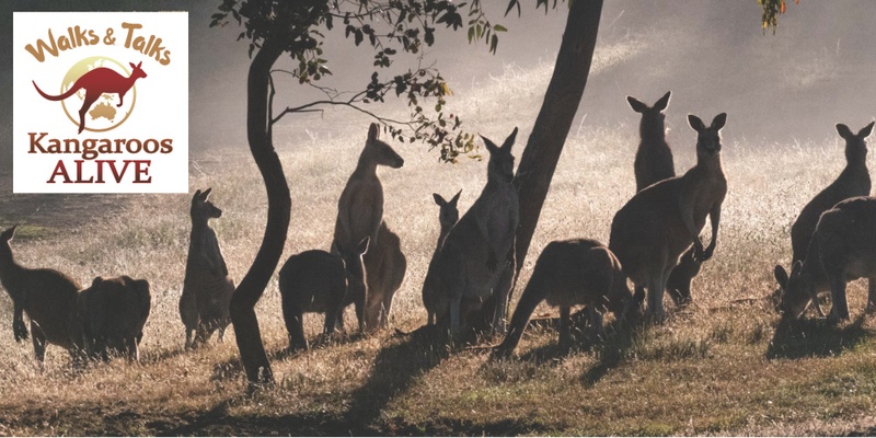 World Kangaroo Day Walk & Talk PLUS Documentary Screening