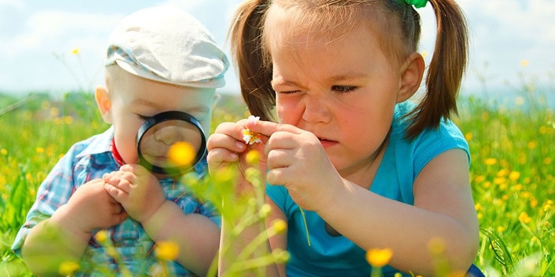 Nature Art at Whyalla Public Library