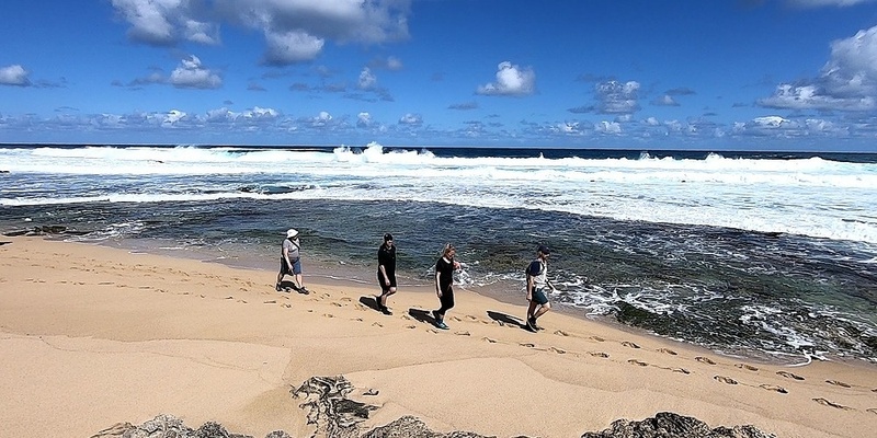 Cape Clairault half day Walk & Yoga- Embodiment Coaching