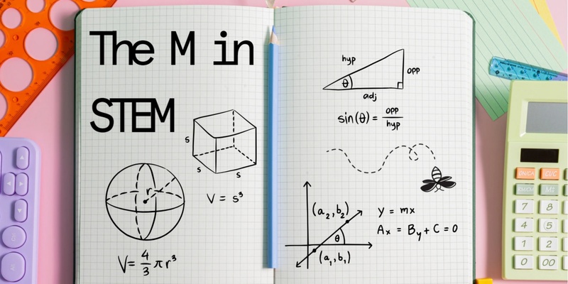 The M in STEM: Where maths can take you!