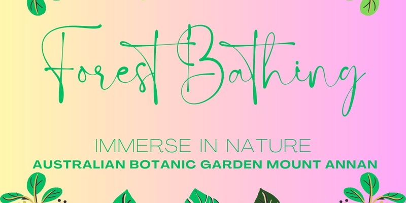 Forest Bathing - The Australian Botanic Garden