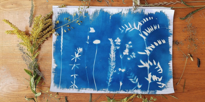 Cyanotype Printing