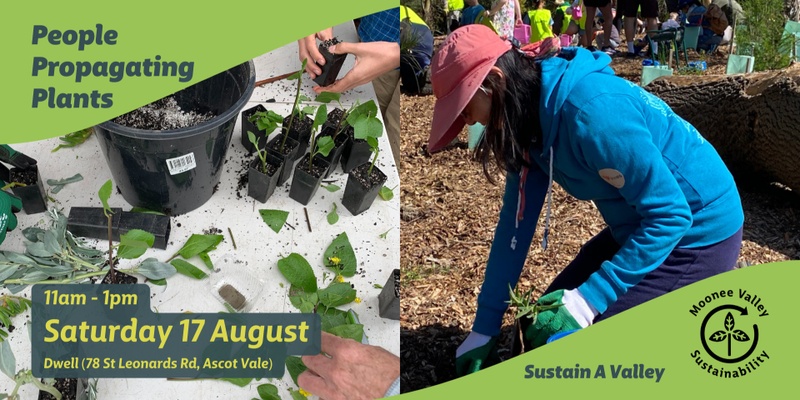 People Propagating Plants