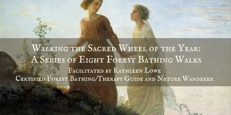 Walking the Wheel of the Year: Connecting with Nature's Rhythms Through the Seasons through Forest Bathing