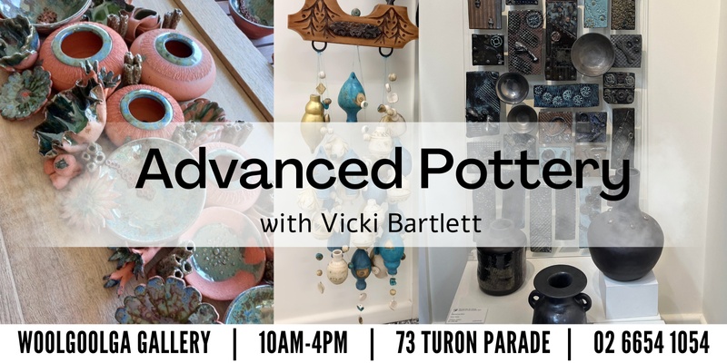 Advanced Pottery with Vicki Bartlett - (8 weeks) 24T3