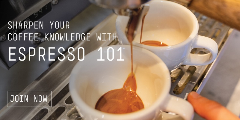 Espresso 101 (Sunday)| Padre Coffee Paddington