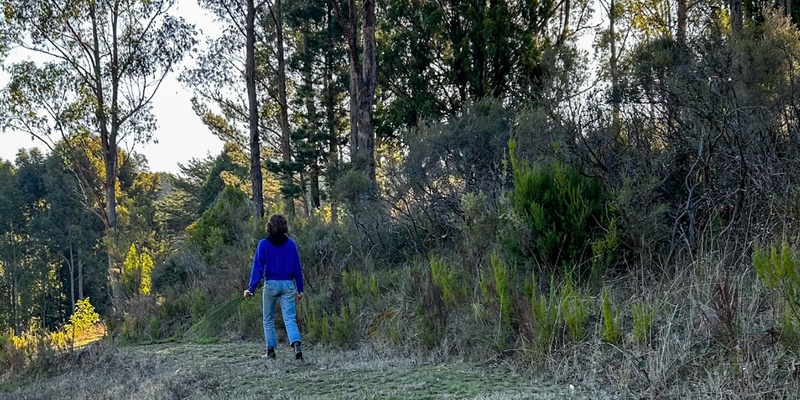 IMMERSIVE FOREST 'BATHING' EXPERIENCE BASKET RANGE