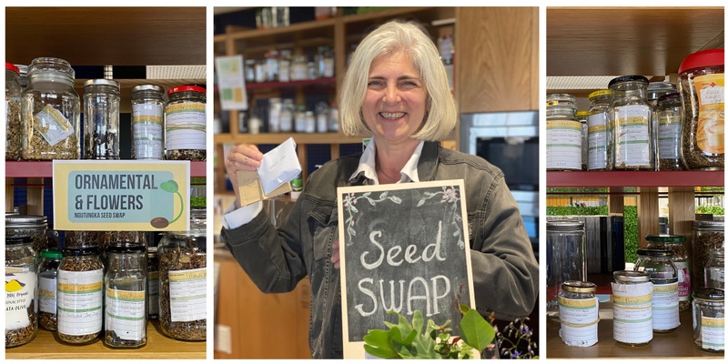 Seed Harvesting & Growing at the Ngutungka Seed Swap