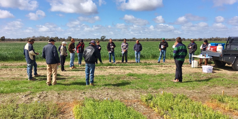 Resilient Pastures Paddock Walk - WAKOOL