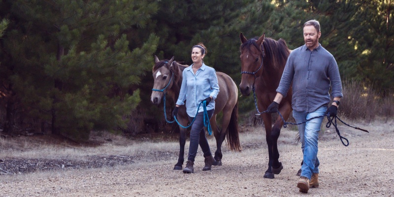 Walking with Horses: Sublime Synchrony in the Forest