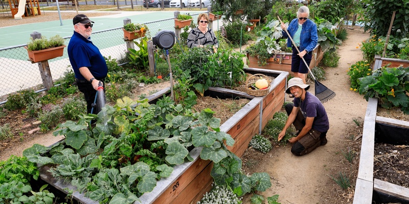 Open Garden: Tour of Altona Community Garden