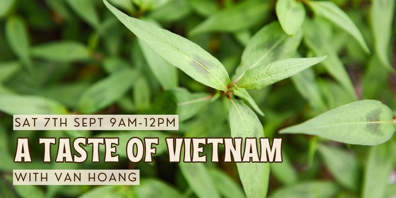 A Taste of Vietnam with Van Hoang