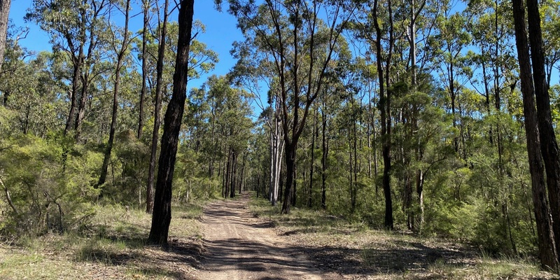 Yoga & Bushwalking