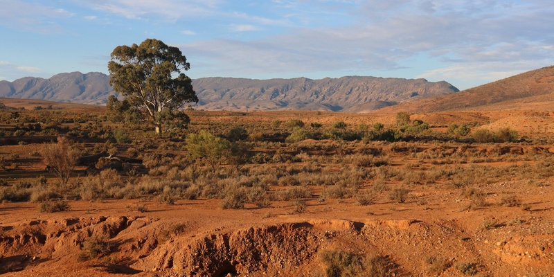 Rural regional and remote providers Review of Best Practice in Early Childhood Intervention Consultation 