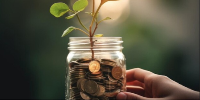 Sustainable Wealth: Rethinking Capital