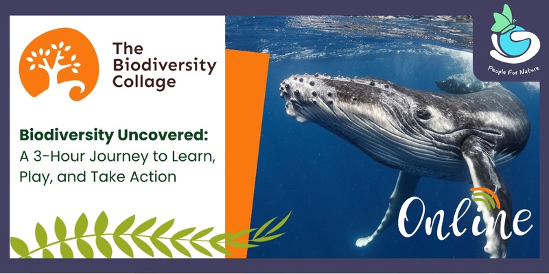 Biodiversity Collage Online - World Whale Day - February 2025