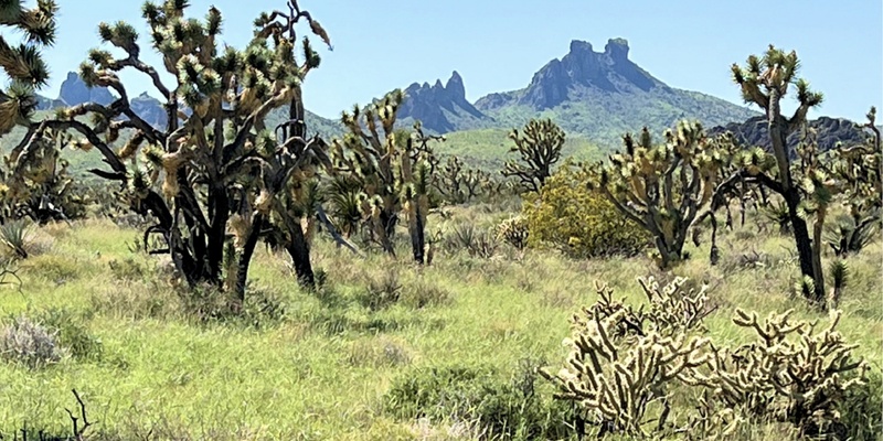 GUIDED HIKE: Grasslands Trail