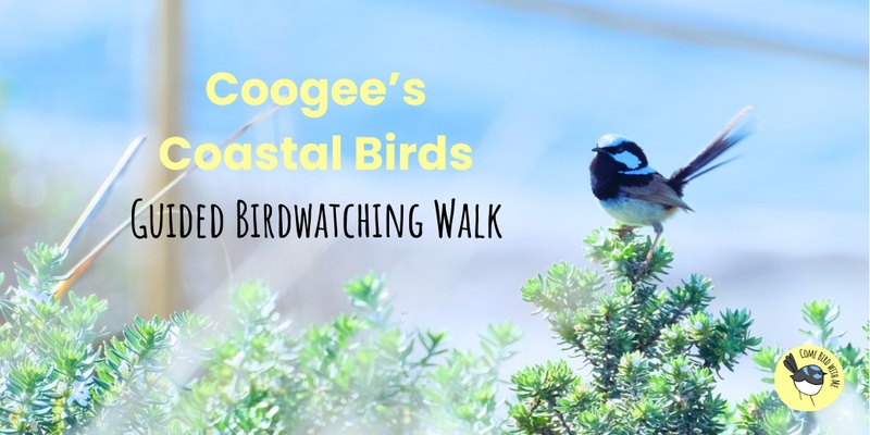 Coogee Bird Walk - November