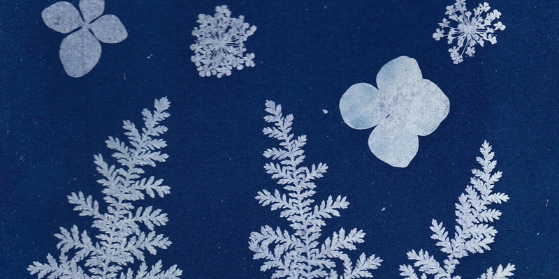 Cyanotype Workshop with LeAnne Vincent 