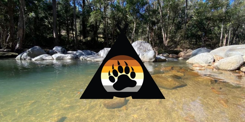 QLD Camping Bears: Cedarvale Park