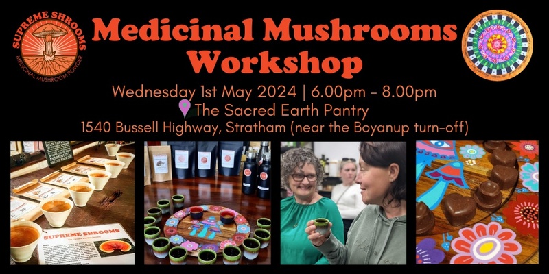 Medicinal Mushrooms Workshop in Stratham, WA