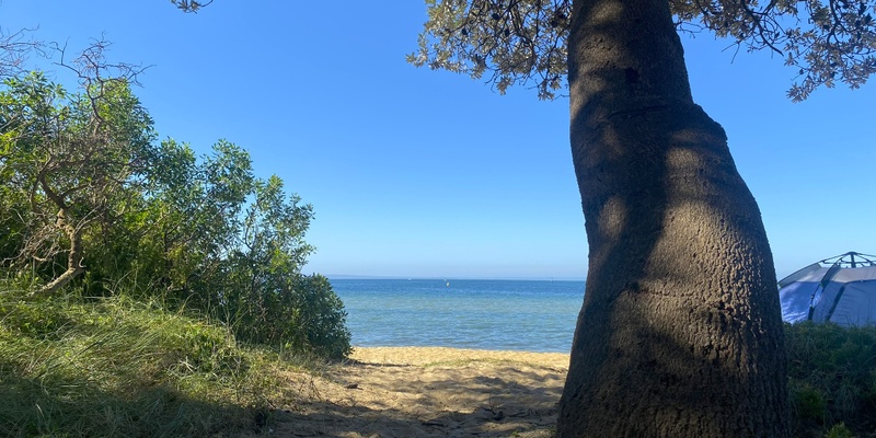 Mindful Wander in Nature - Ricketts Point