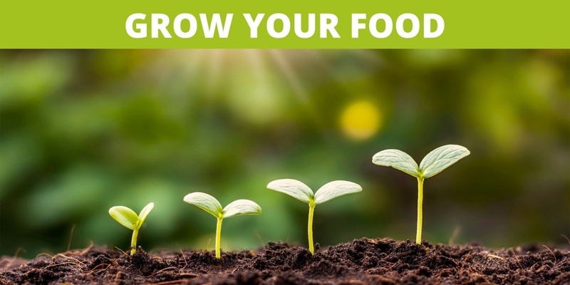 Grow Your Own Food