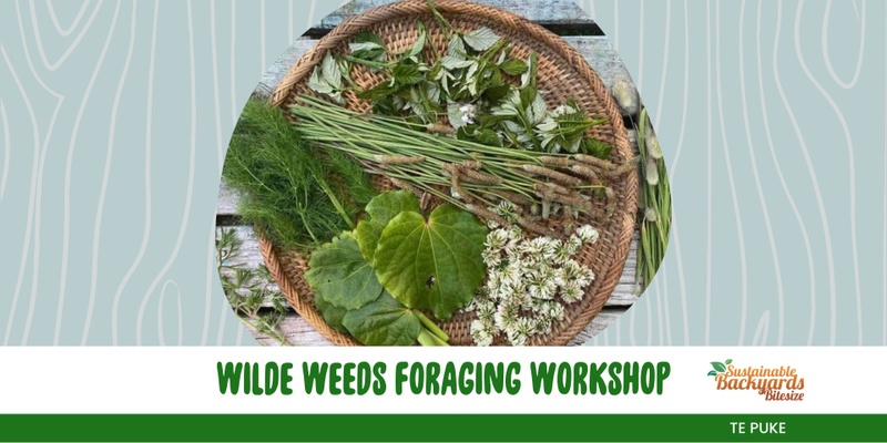 Wilde Weeds Foraging Workshop