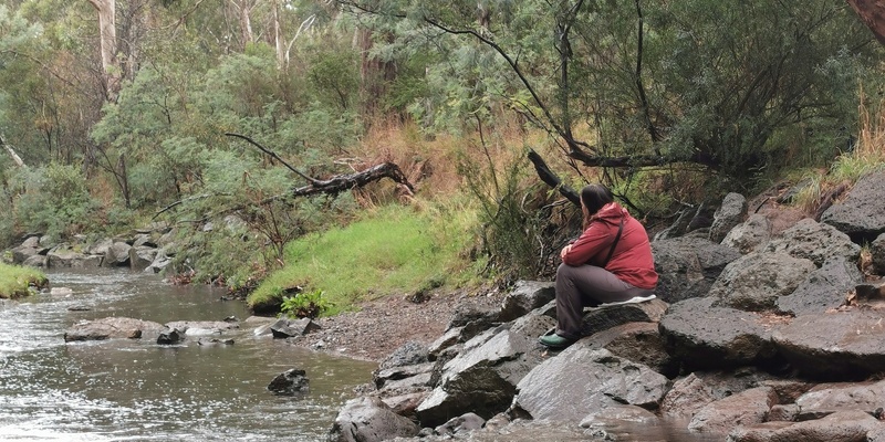 Forest Therapy Walk at Darebin Parklands 11th February 2024, 8am