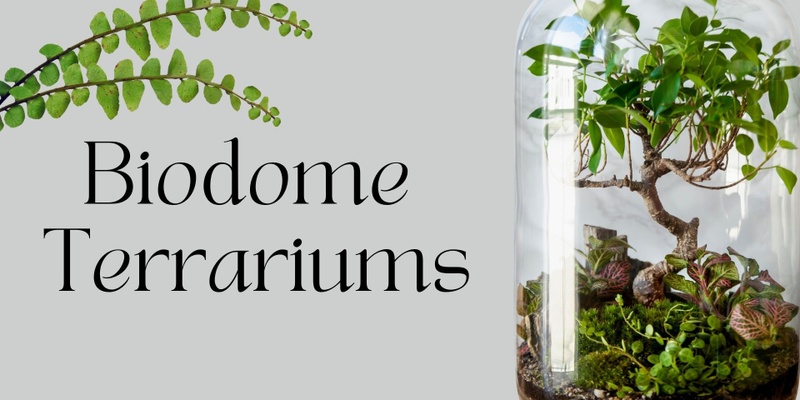 Biodome Terrariums