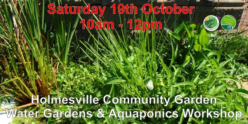 Aquaponics workshop